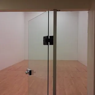 Handball or racketball