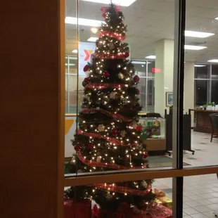 2012-12-06; Christmas Tree @ Fogelman YMCA, Memphis TN