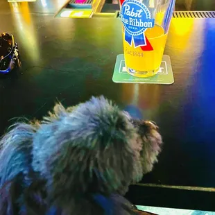 Someone's watching my beer for me