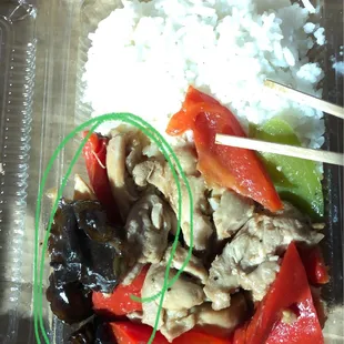 That circled thing is fungus maybe elephant ear? BUT IT IS THE GREATEST! You ain't gonna find that anywhere else.