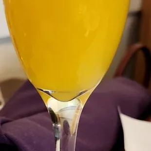 Classic Mimosa