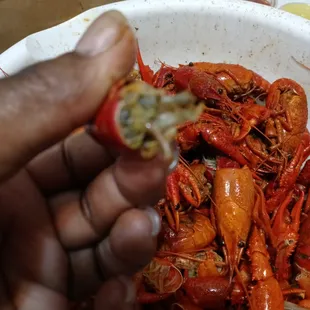 a person holding a piece of crawfish