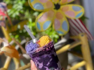 Savory Fried Chicken