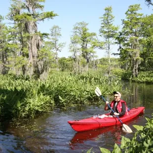 Learn about the greatest environmental tragedy in America