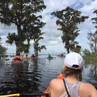 Lake Maurepas
