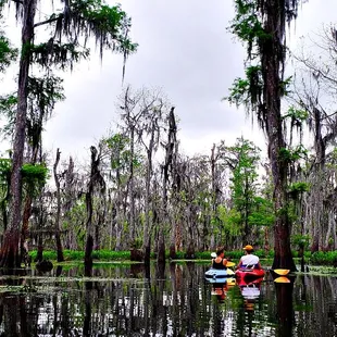 Kayaking with Lost Lands Tours