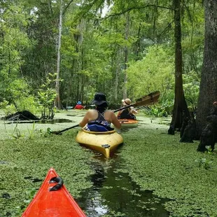 Just cruisin through the swamp with the squad.