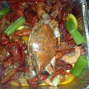 Crawfish, Shrimp, Blue Crab