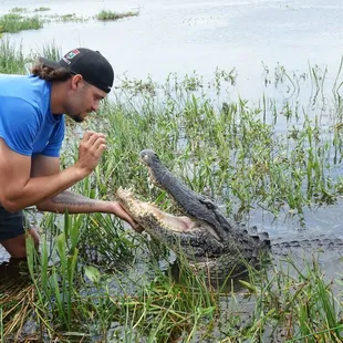 Dewey making friends with the curious gator!