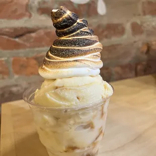Toasted Marshmallow Cream and Brulee ice cream