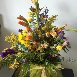 Day 3 days later, all dead or dying