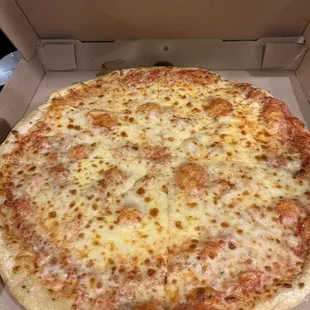Xl cheese pizza