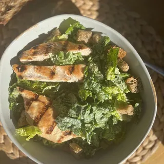 Cesar salad