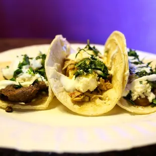 Tacooos 4.5.16