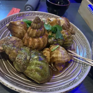 E11. Jade Whelk