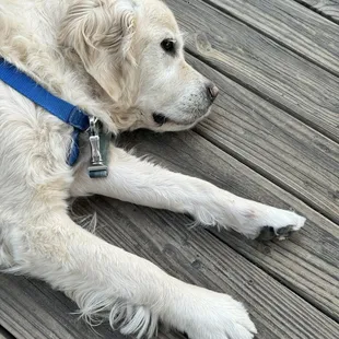 @eleven11atx is full of the 1/2 off Sunday custard