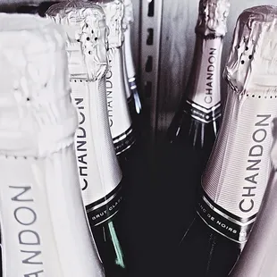 bottles of champagne