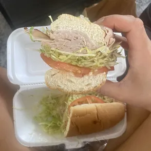 Turkey Sub