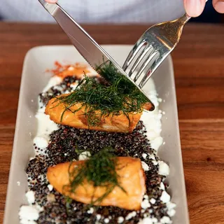 Salmon