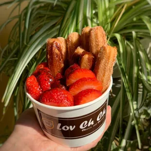 Churro Fruitci Bowl made with 8 Small Churros, Seasonal Berries, Whip Cream and Chocolate Syrup