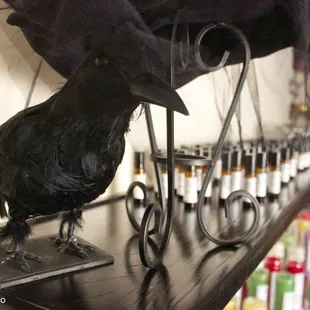 Love and Toads Spell Boutique