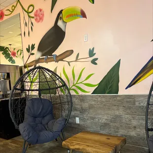 a toucan on a chair in a cafe