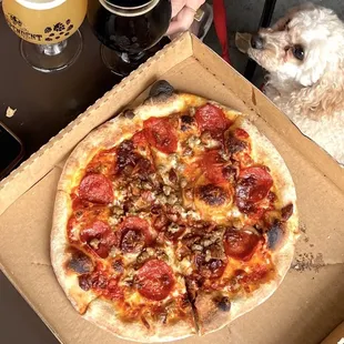 Lots of pepperoni plus a pup.