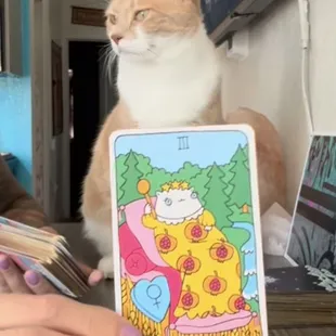 Keone loves to join the tarot readings