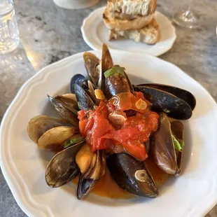 food, oysters and mussels, mussels, shellfish, oysters