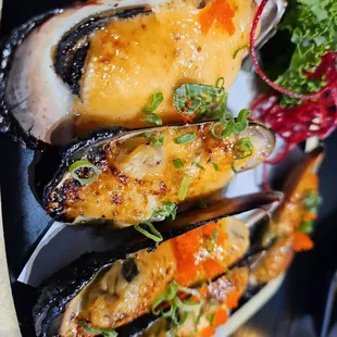 oysters and mussels, oysters, mussels, shellfish, food