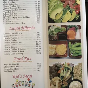 sushi and sashimi