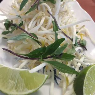 Bean sprouts lime