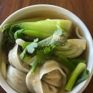 Dumpling Soup
