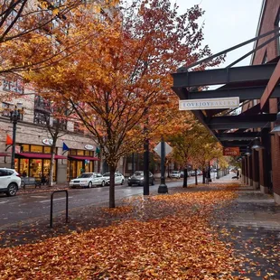 a street lined with autumn leaves