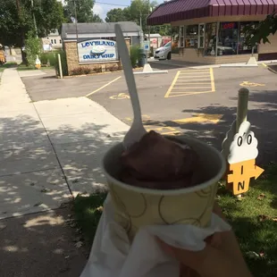 Blueberry soft serve!