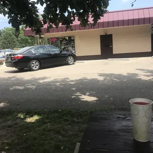 Kiwi Strawberry Slushie