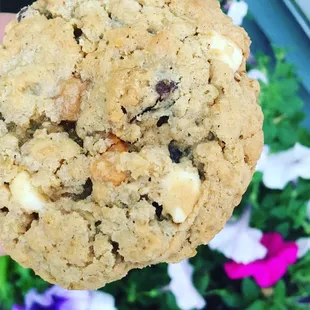 Oatmeal cookie with chocolate chips and caramel, deliciously homemade.