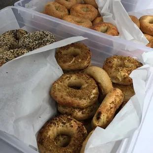 513 Bagels