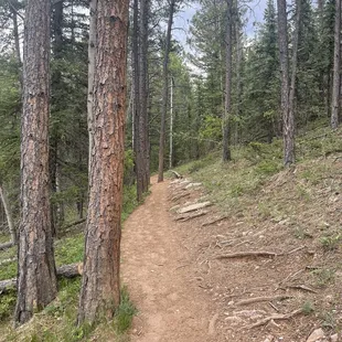 Trail