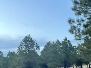 Black Forest Section 16 Trail