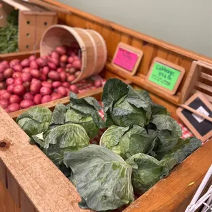 a variety of vegetables