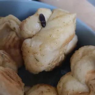 A cockroach from my garlic knots.