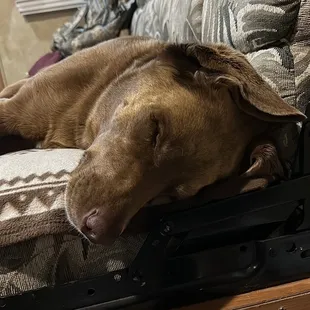 Tunnel meet up anyone?