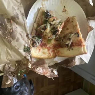 Someone is excited for the