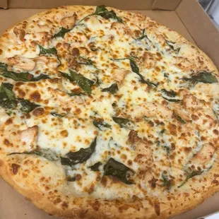 Chicken Alfredo pizza