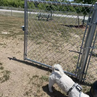 Great dog park! No poo standing