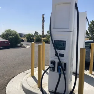 Please show these babies some love ~ no pun intended but I expect a chuckle