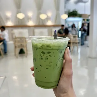 Bodhi Boy (lavender matcha)