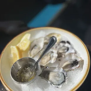 Oysters