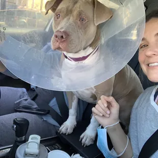 Check up time! We love Low Cost Animal!!!! Their vets and techs are the BEST!